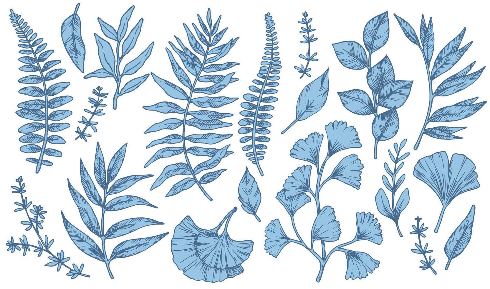 Collection of blue botanical leaves vector