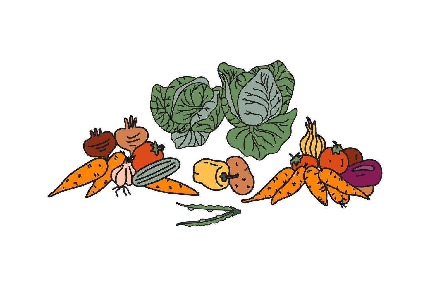 assorted fresh vegetables illustration vector