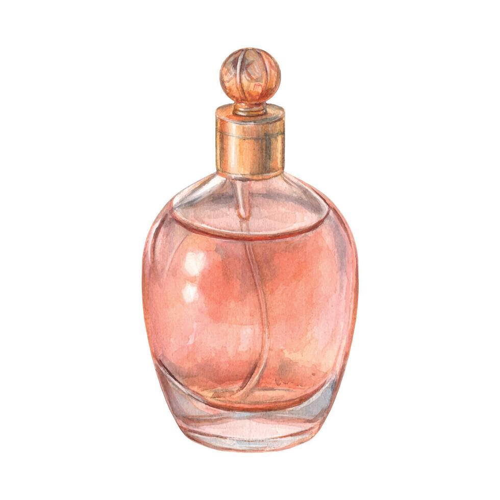 pink perfume bottle illustration vector