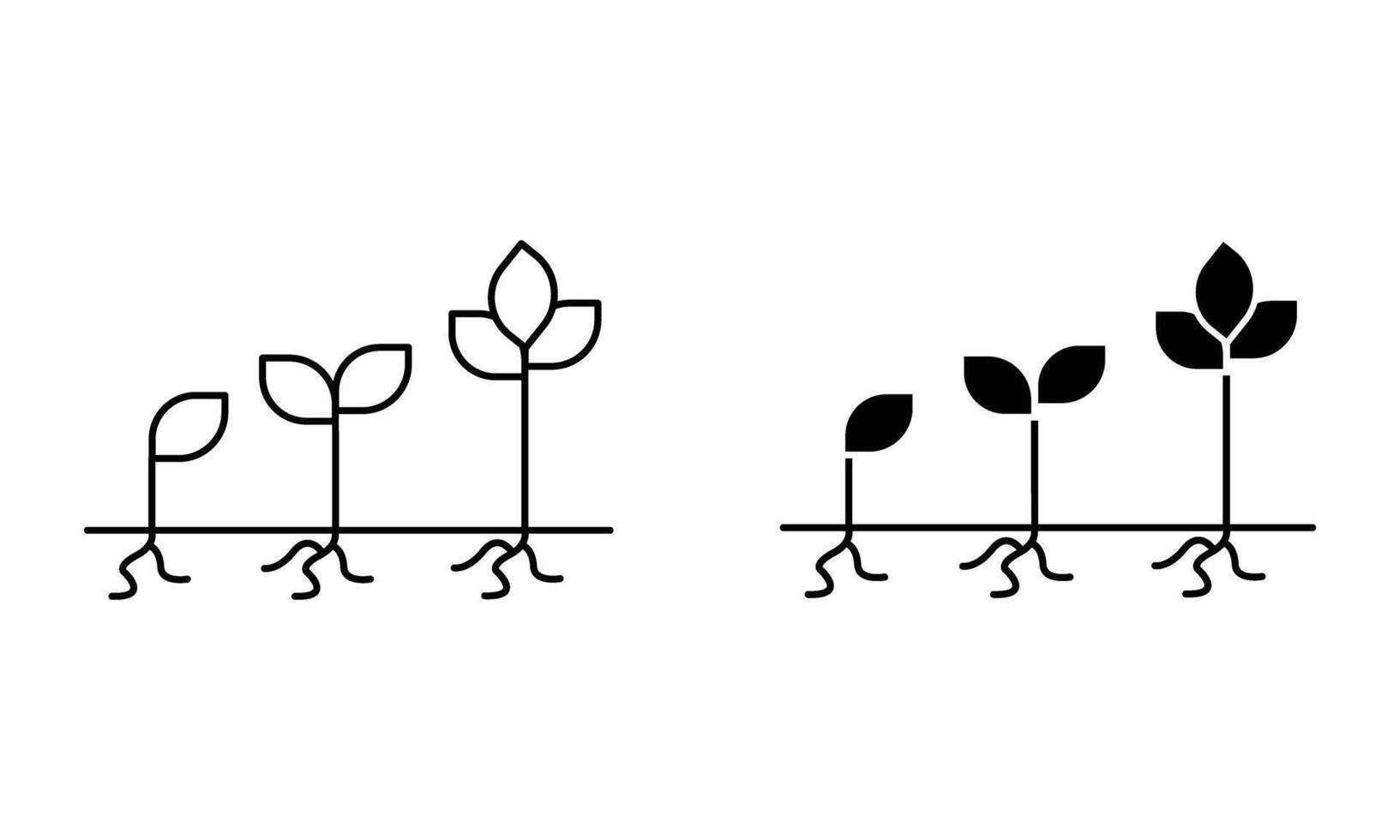 plant seedling growth icon vector