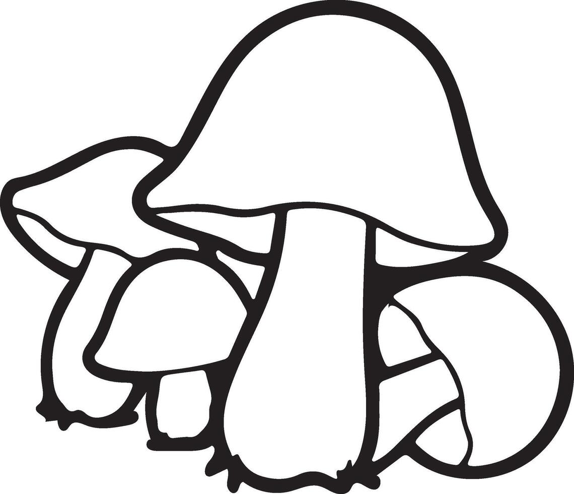 Boletus mushroom outline illustration isolated on white background vector