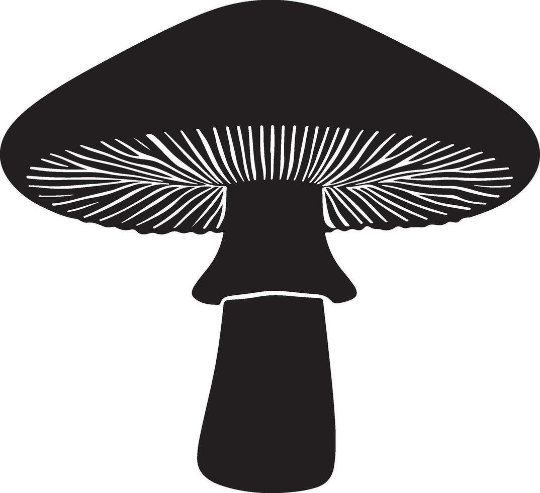 Boletus mushroom silhouette illustration on white background vector