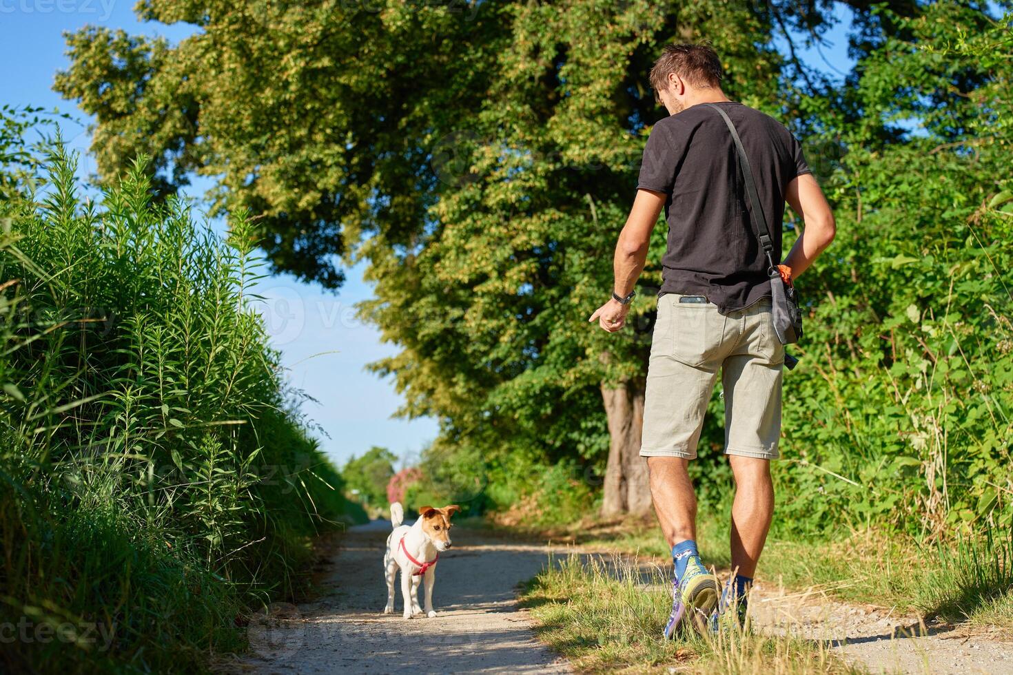 Man walking with small dog on countryside path in summer photo