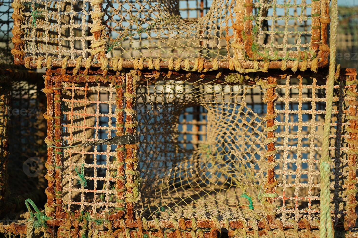 Crab Traps Stacked on a Dock Near the Water During Early Morning Light photo