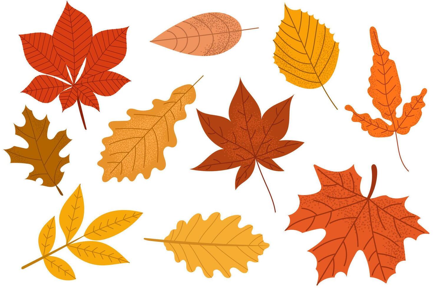 Colorful flat set of autumn leaves in various shapes and shades of orange, red and yellow on white background. Perfect for seasonal designs and fall decorations. vector