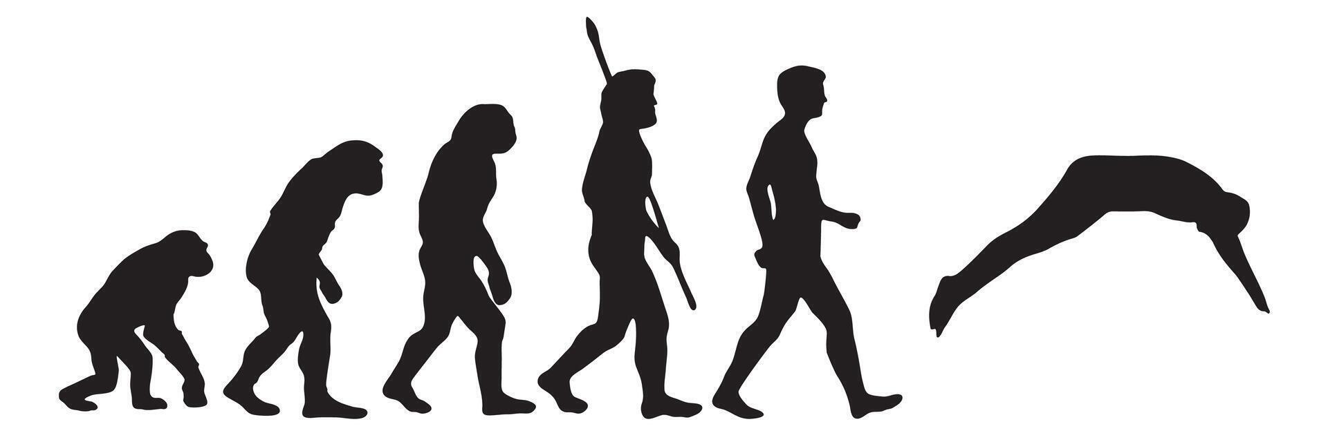 Evolution of the human from Darwin to the swimming. Silhouettes with the different steps of evolution. illustration vector