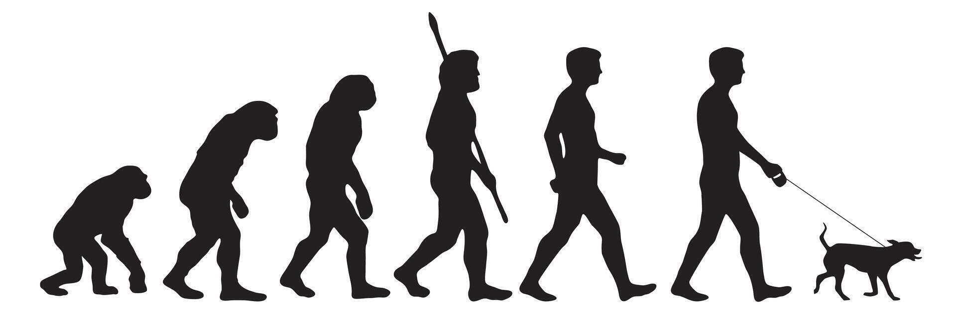 Evolution of the human from Darwin to friend of animals. Silhouettes with the different steps of evolution to pet friendly. illustration vector