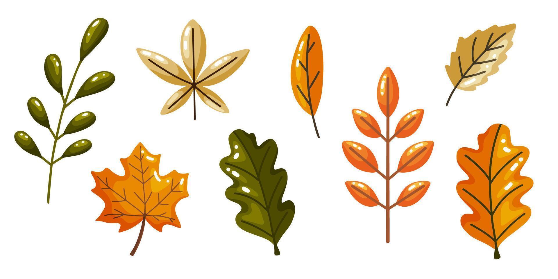 Autumn Leaves Collection Hand Drawn Set vector