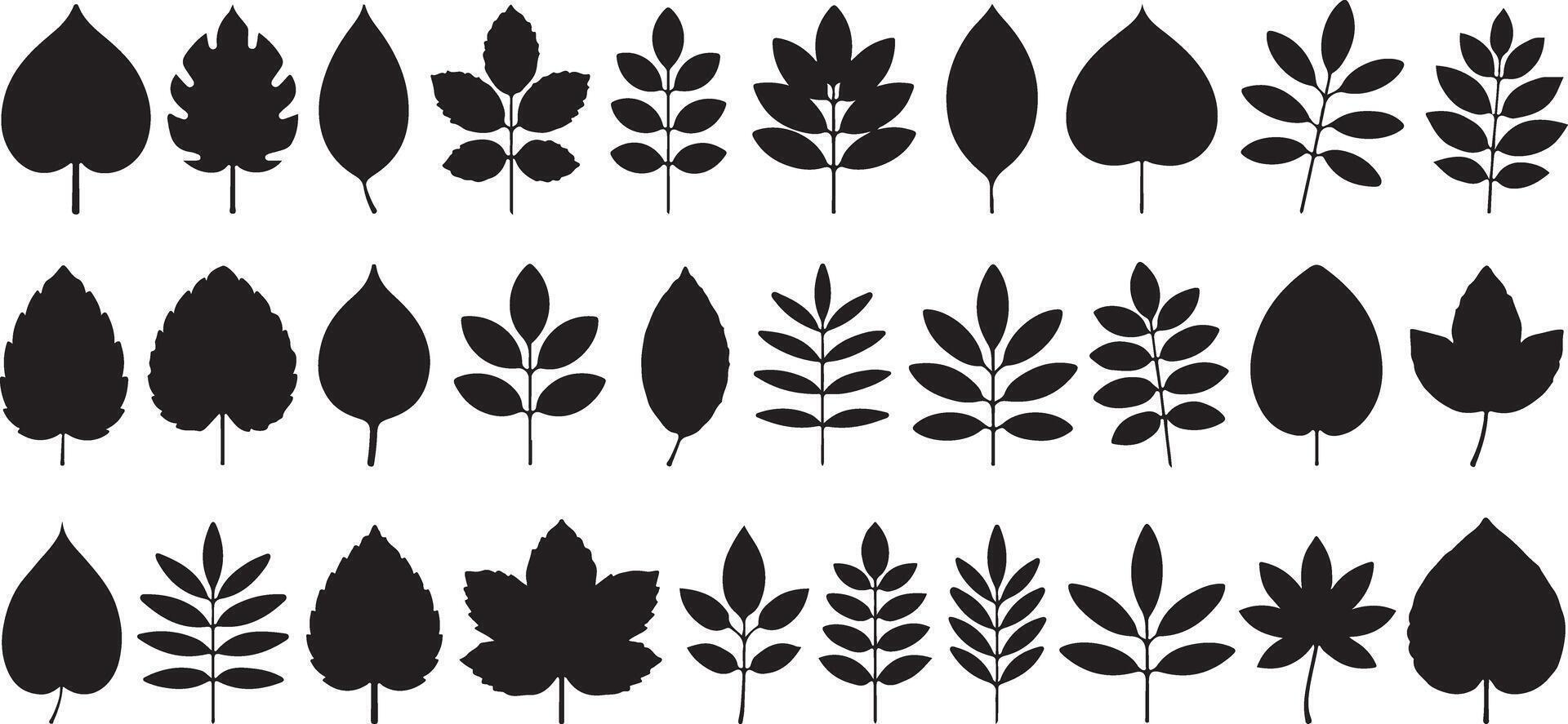 Collection of Thirty Black Silhouettes of Various Leaf Shapes and Branch Arrangements Isolated on White Background Simple Botanical Graphic vector