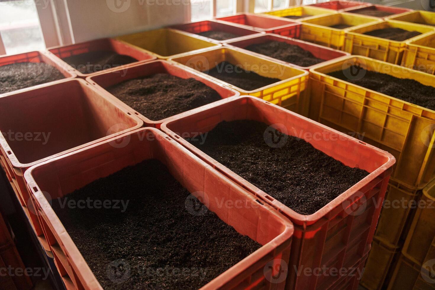 Ceylon tea in plastic boxes at tea factory in Kandy, Sri Lanka photo