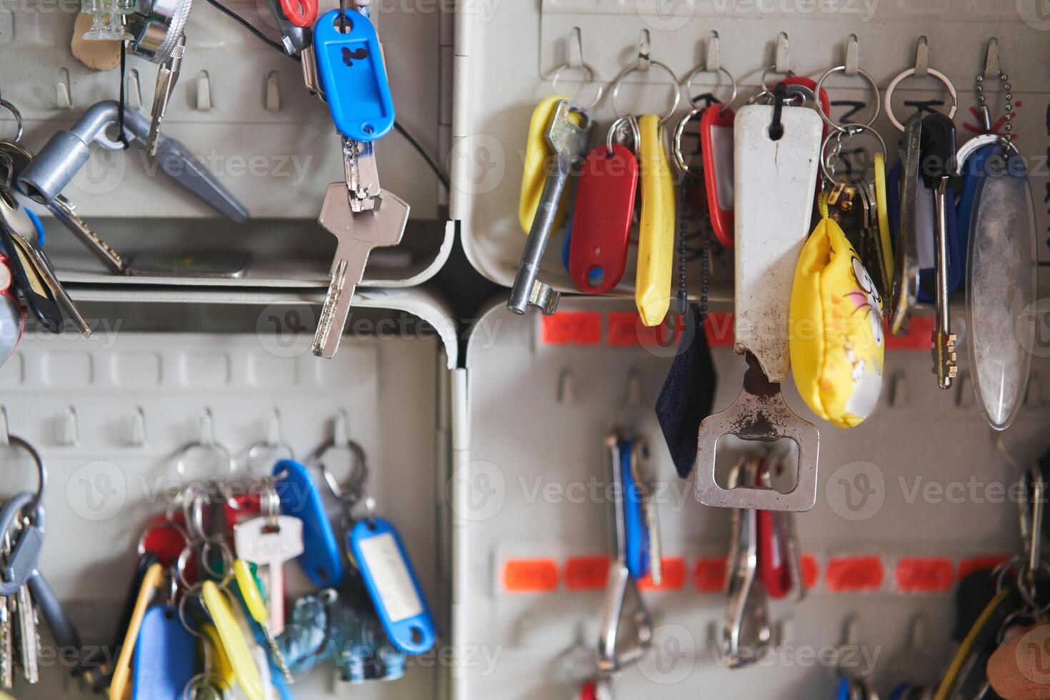 many keys with multi-colored key chains hang in the key keeper photo