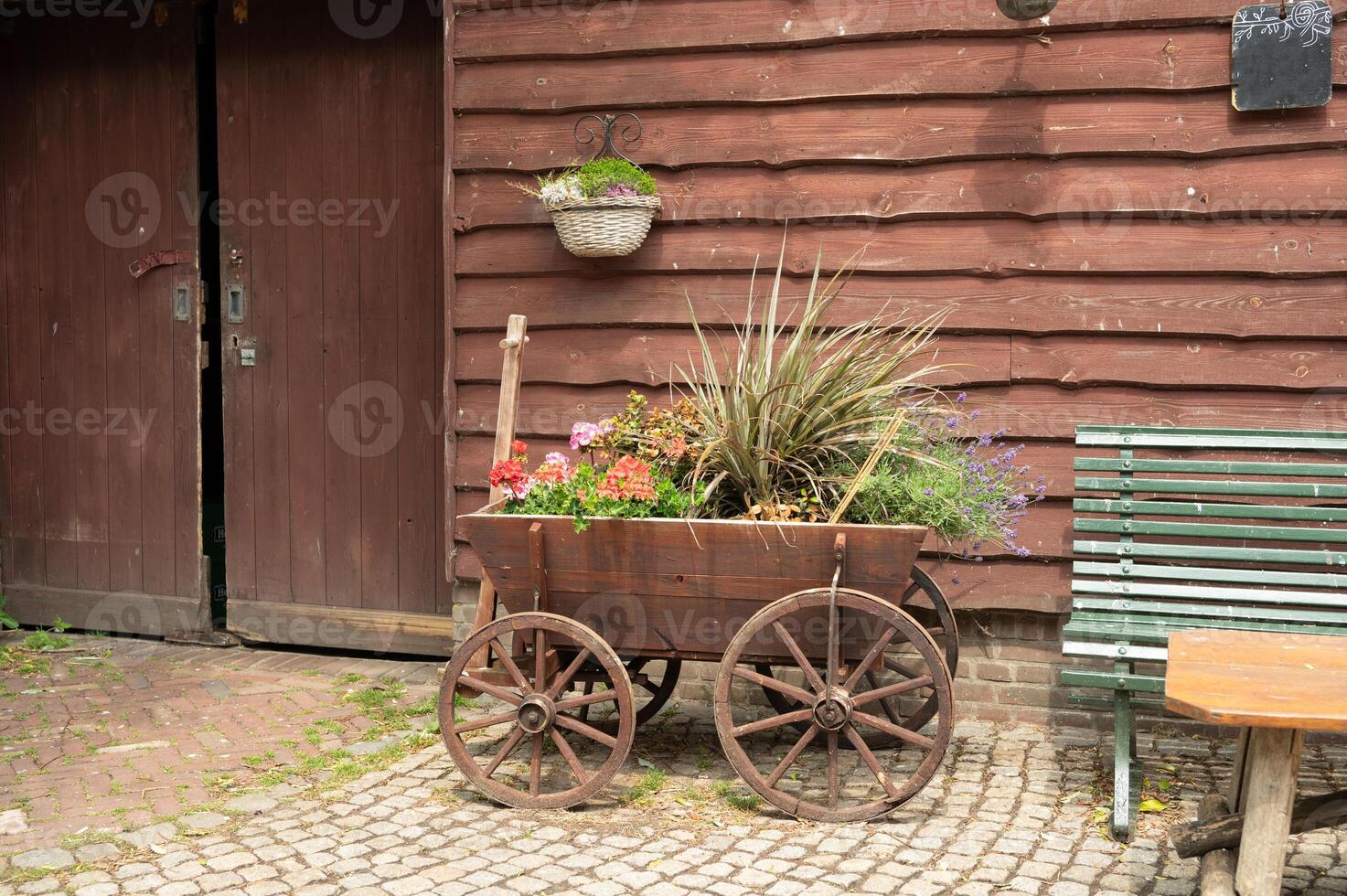 Rustic wooden cart with colorful flowers by vintage barn photo