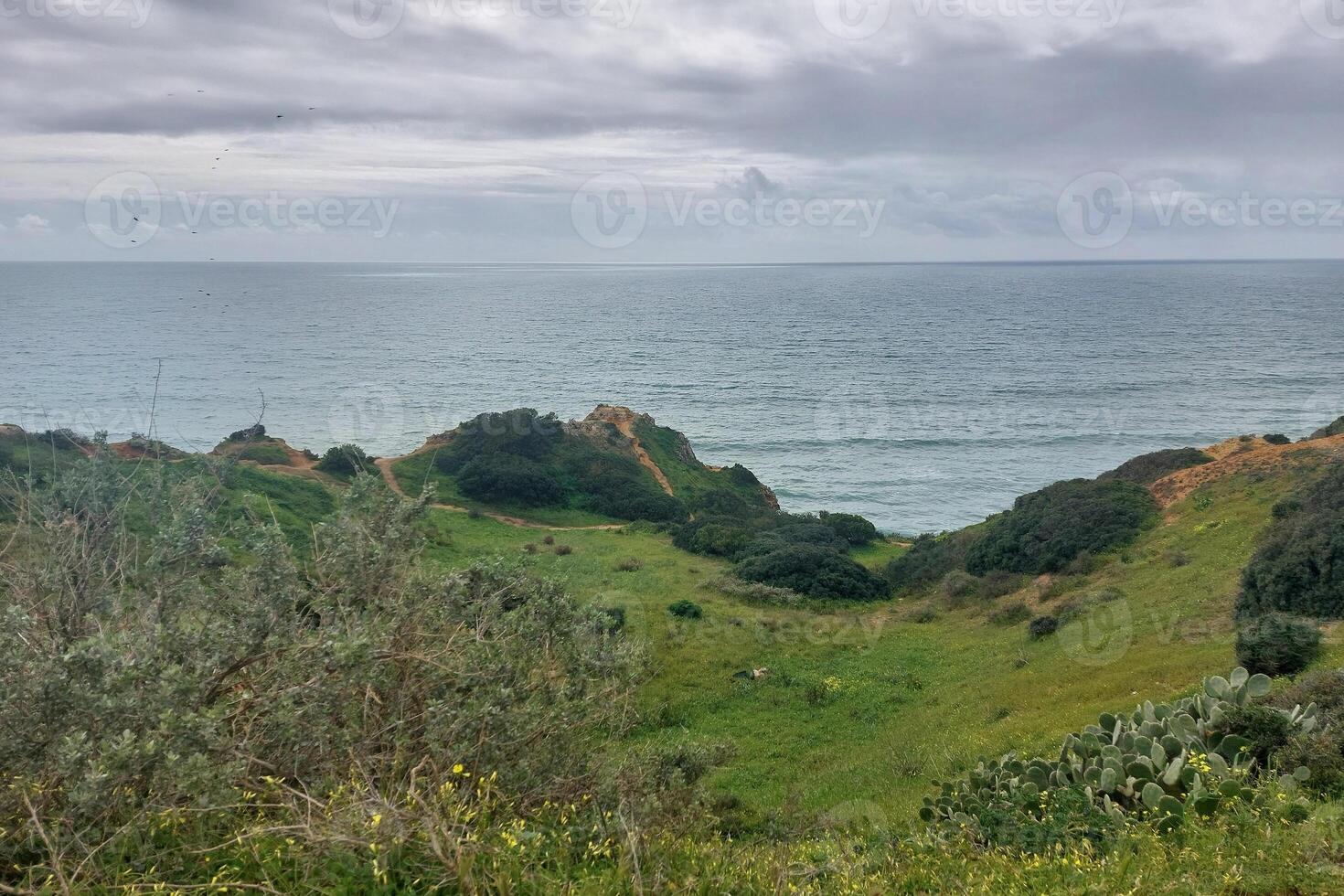 Coastal Cliffs Landscape with Overcast Sky and Lush Greenery. photo
