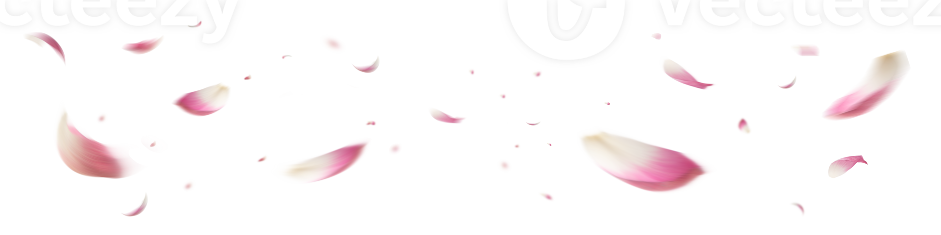 Soft Pink Lotus Petals Overlay png