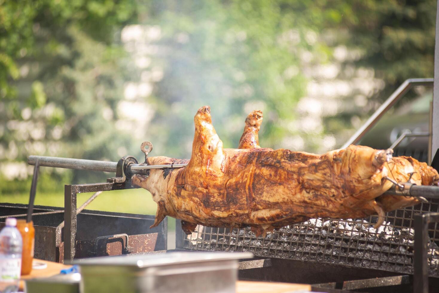 Whole roast pig on a spit photo