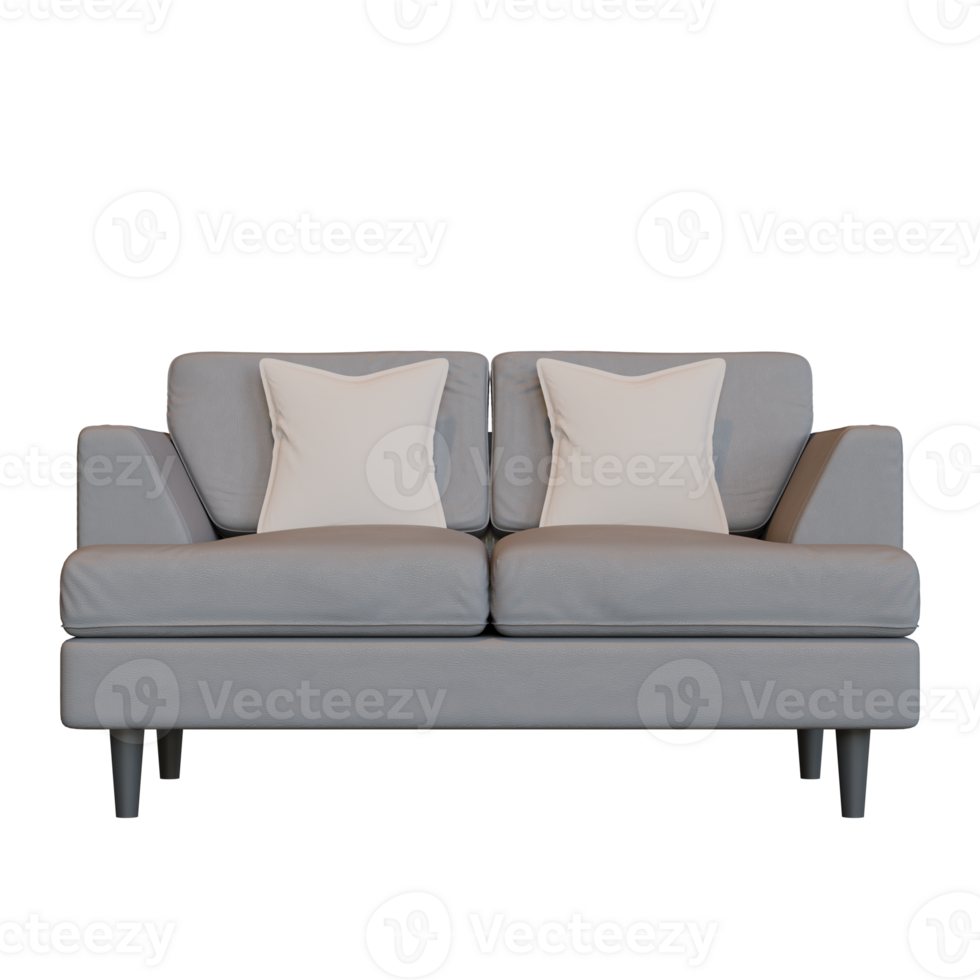 Grey Two Seater Sofa Front View 3D Render Illustration png