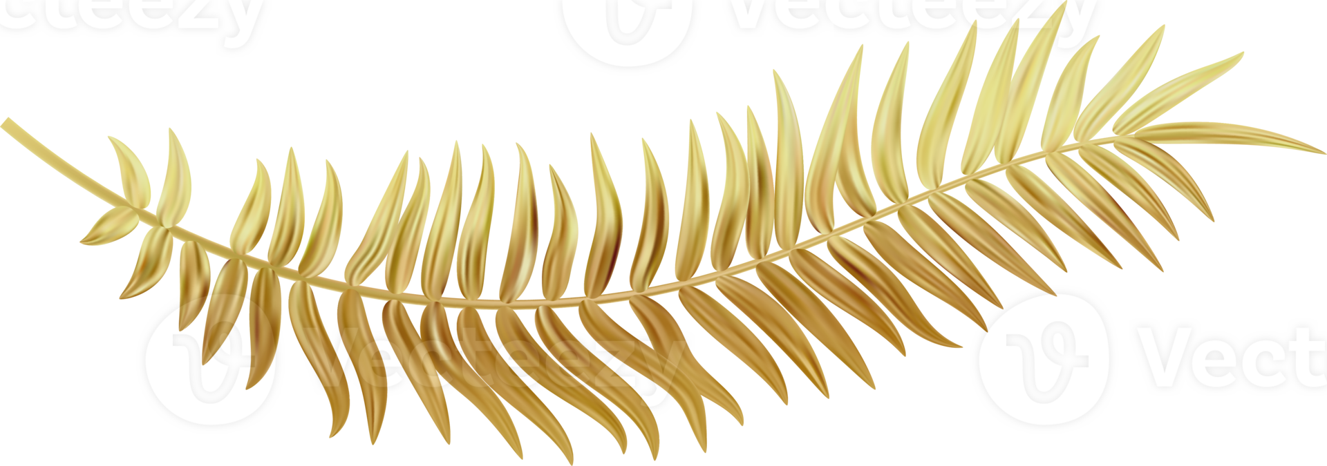 Golden palm leaf. Coconut tree branch. Exotic realistic foliage. Abstract decoration for luxury invitation and presentation design. Botanical graphic png