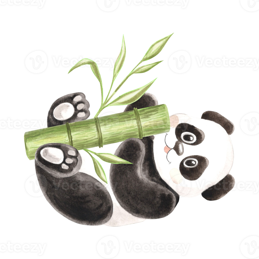 Cute baby panda with green bamboo watercolor illustration for baby designs. Hand drawn isolated funny little chinese bear in black and white color Smiling character in sketch style for childrens theme png