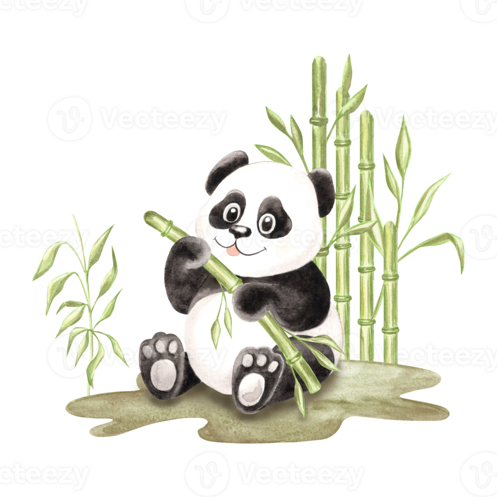 Cute baby panda surrounded by green bamboo watercolor illustration for baby design. Hand drawn isolated funny little chinese bear in black and white color. Adorable character for childrens themes. png