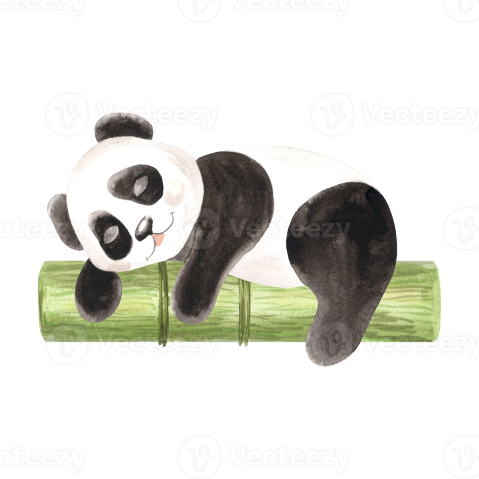 Cute baby panda sleeping on green log watercolor illustration for kids designs. Hand drawn isolated funny chinese black and white bear. Adorable character for in scketch style for childrens themes. png