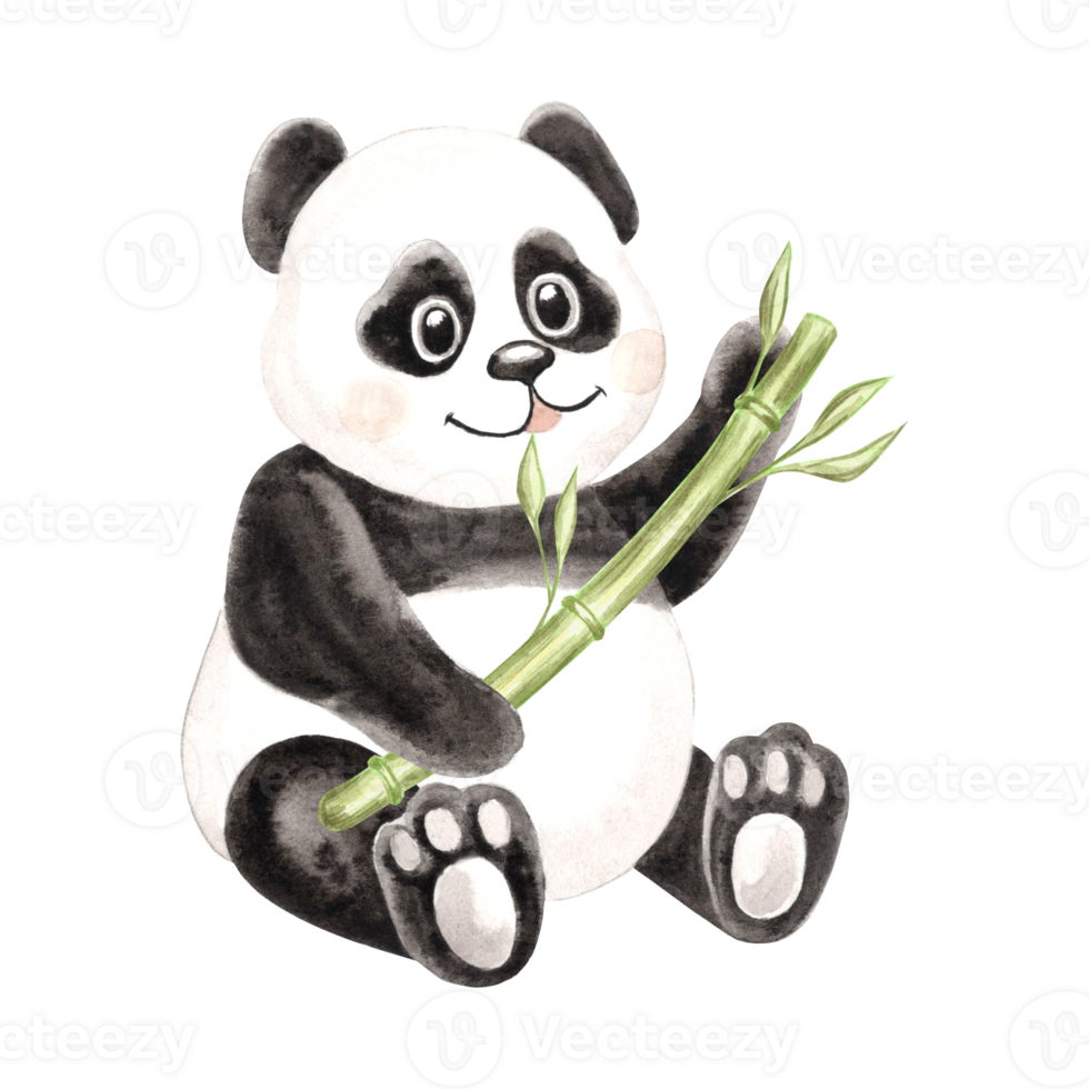 Baby panda with green bamboo watercolor illustration for baby design. Hand drawn isolated funny little chinese bear in black and white color. Smiling character in sketch style for childrens theme png