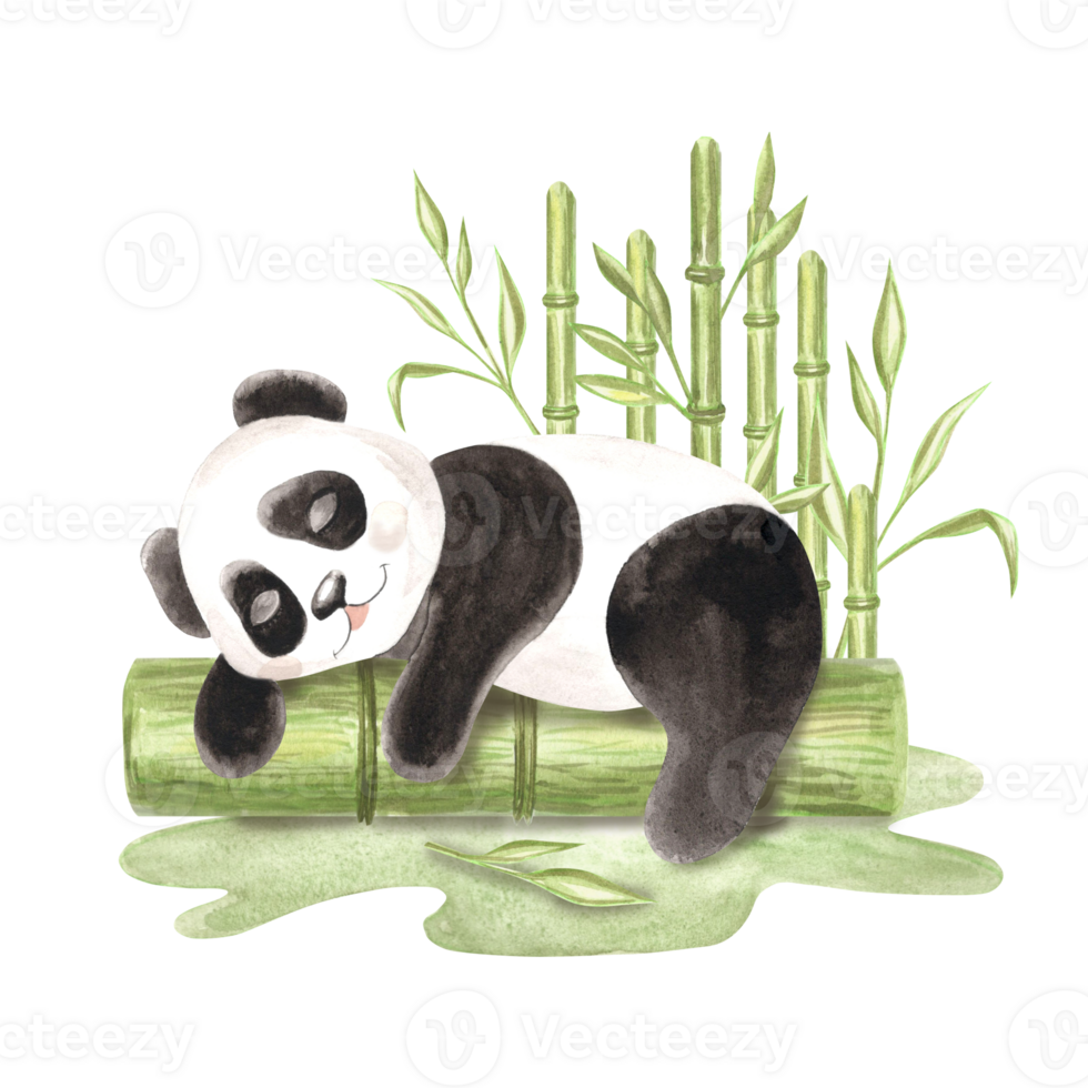 Cute baby panda sleeping on log surrounded by green bamboo watercolor illustration for kids design. Hand drawn isolated funny little chinese black and white bear Adorable character for childrens theme png