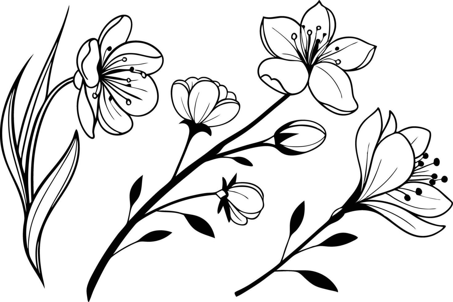 Hand Painted Spring Floral Watercolor Clipart with Elegant Flowers vector