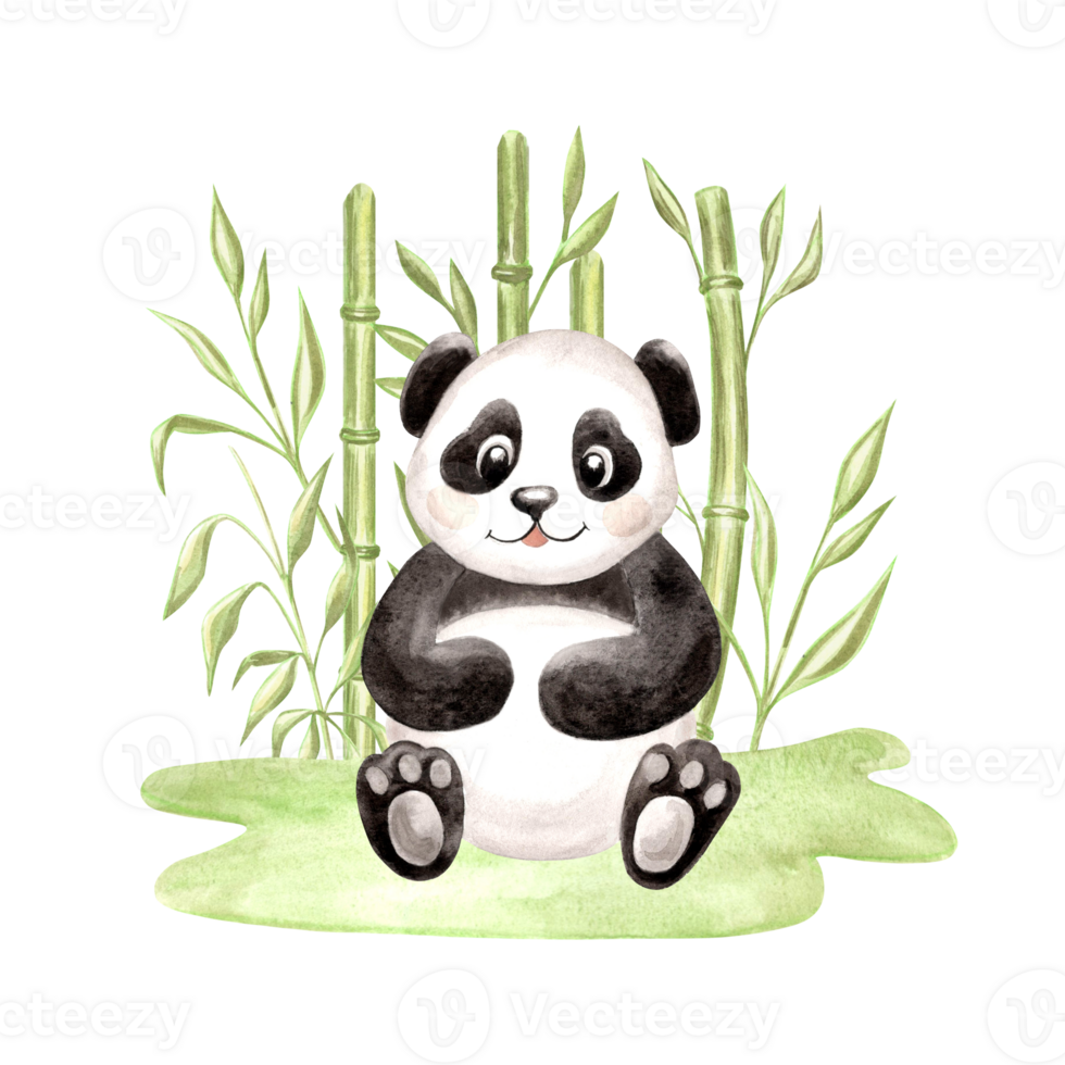 Cute baby panda surrounded by green bamboo watercolor illustration for baby designs. Hand drawn isolated funny little chinese bear in black and white color. Adorable character for childrens themes. png