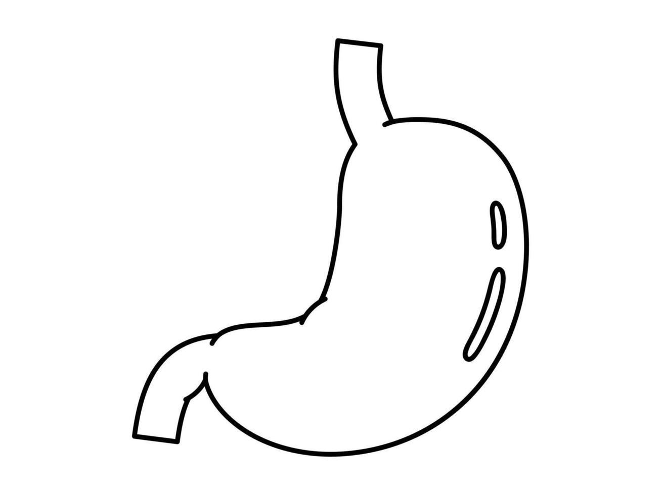 Hand drawn cute outline illustration of stomach. Flat abdominal internal organ line art doodle. Digestive system. Health care or anatomy sticker, icon. Examination or diagnostic. Isolated. vector