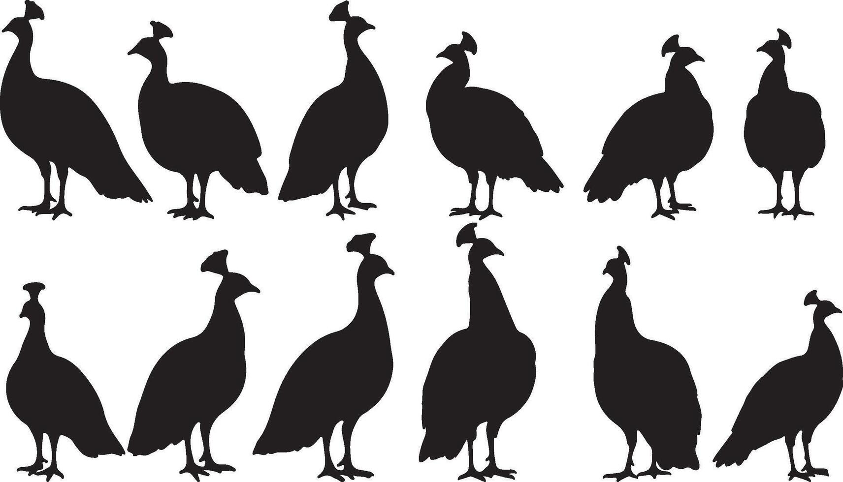 Solid Black Silhouettes of Peafowl on White Background collection vector