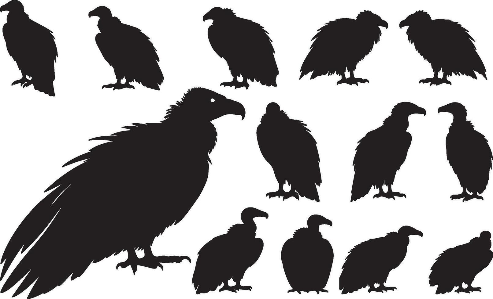 Solid Black Silhouettes of Vulture on White Background collection vector