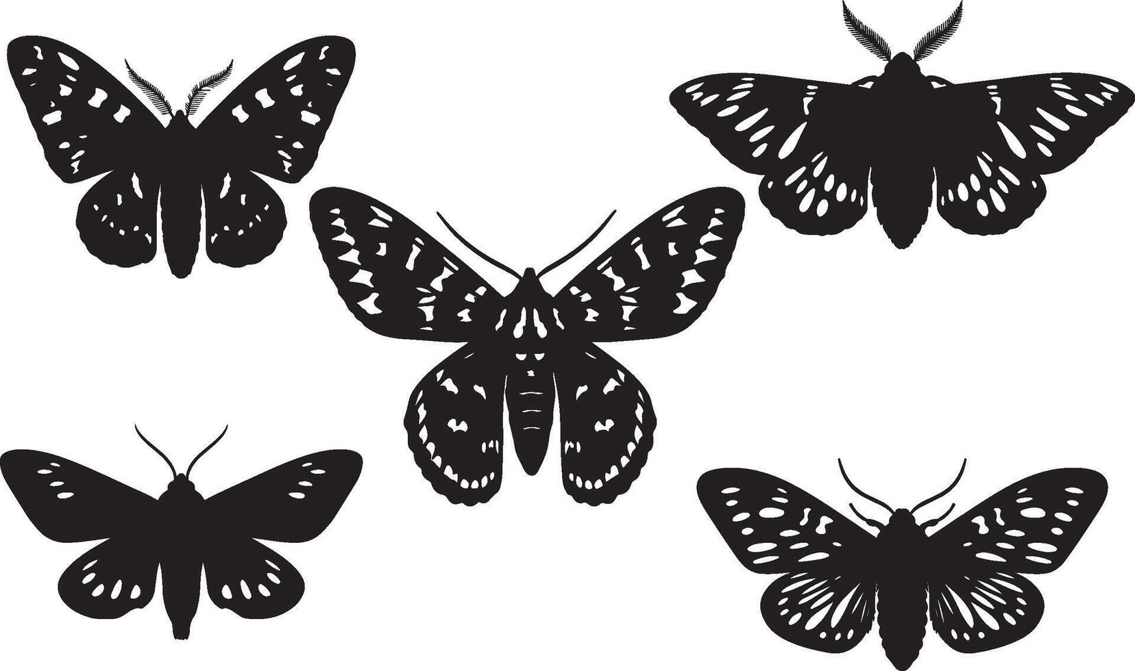 Tiger Moth Silhouette collection vector