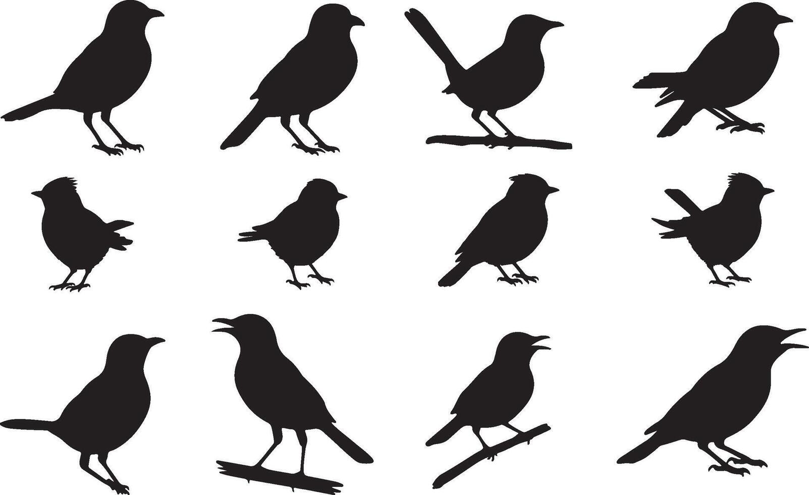 Tailorbird Silhouettes collection vector
