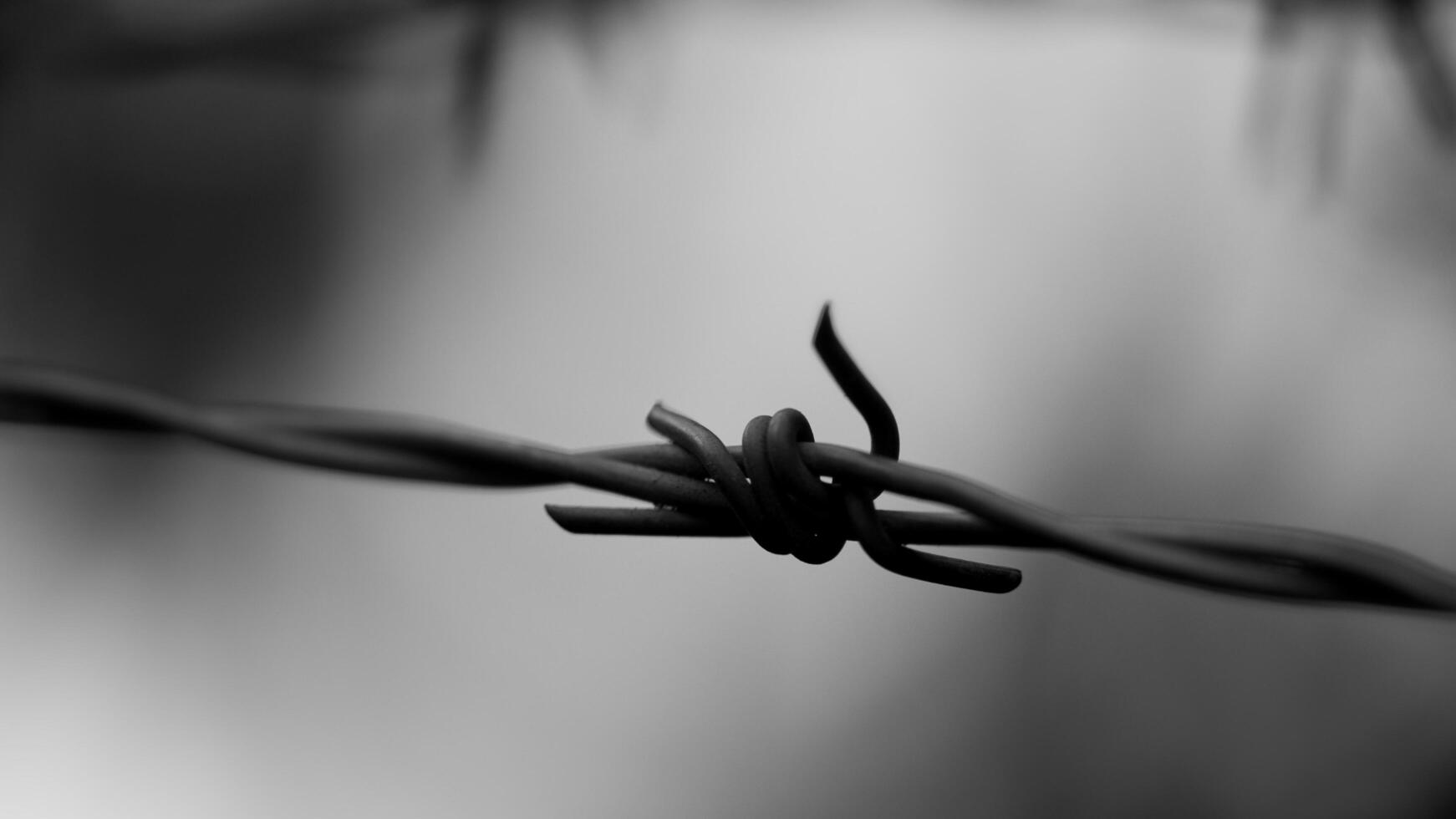 a black and white photo of a barbed wire