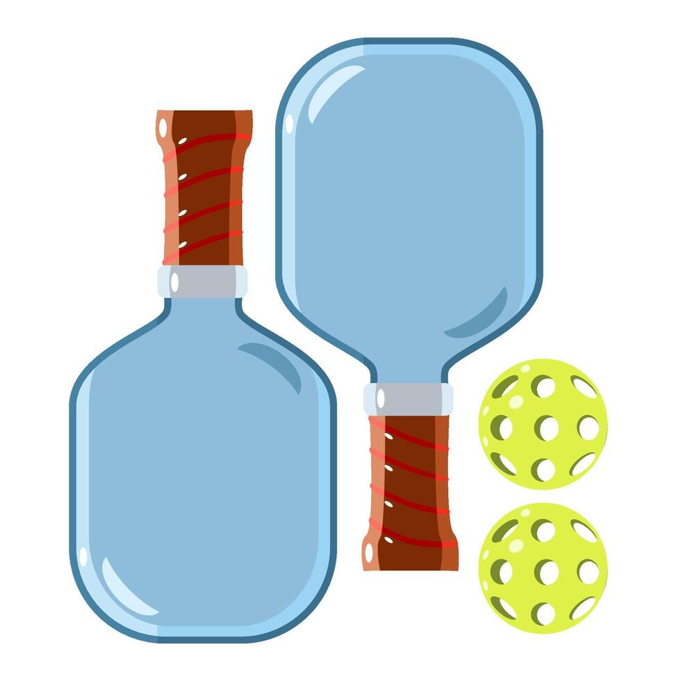 Pickleball rackets and balls sport equipment vector