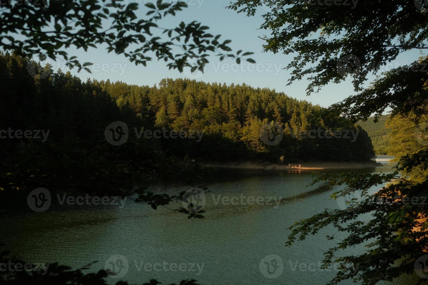 A picturesque lake is centrally located in a dense, treefilled forest photo