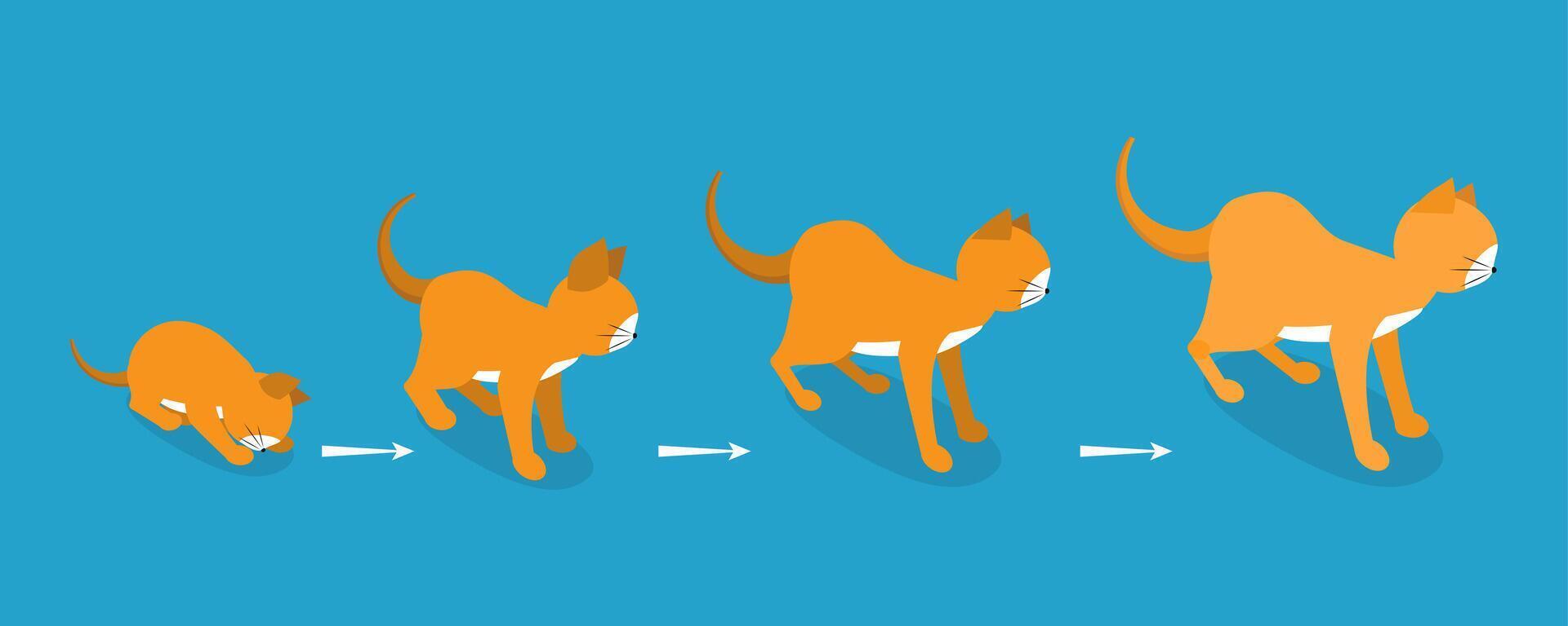 3D Isometric Flat Illustration of Cat Life Cycle, Pets in Different Ages vector