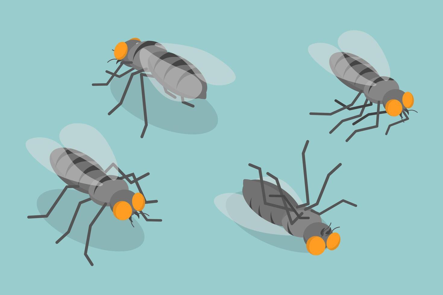 3D Isometric Flat Set of Houseflies, The Pesky Insects Flying Inside vector