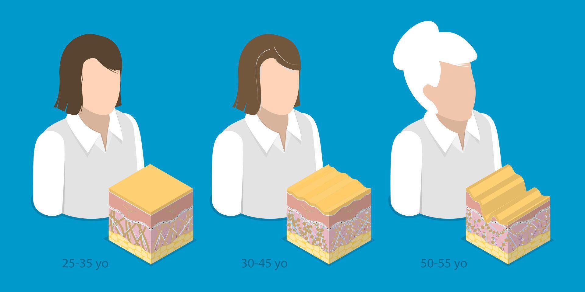 3D Isometric Flat Illustration of Woman Of Difference Ages, Process Of Getting Older Over Time vector