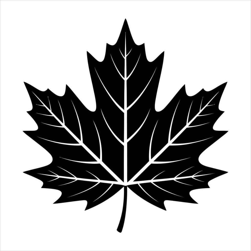 Black maple leaf with white veins nature vector