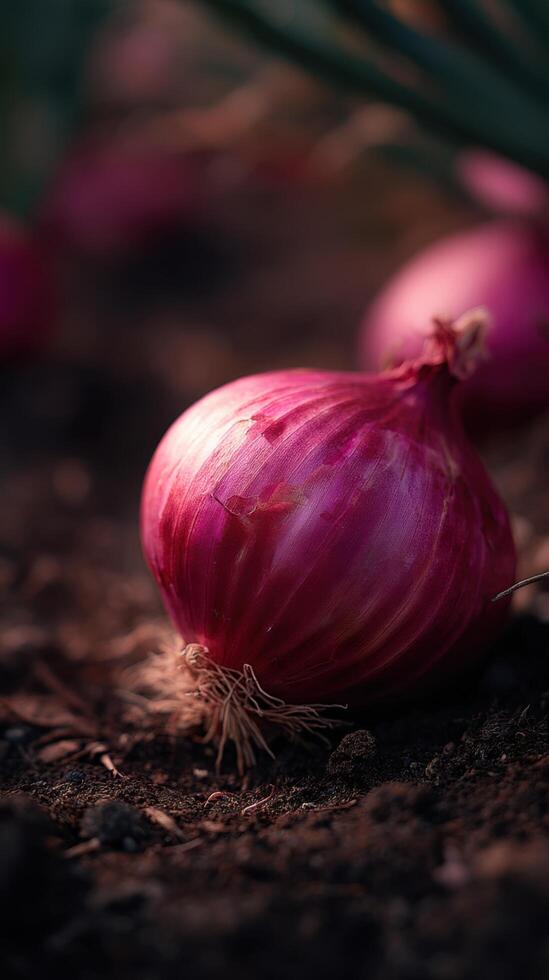 The Gardens Layered Spice From A Vibrant Red Onion photo
