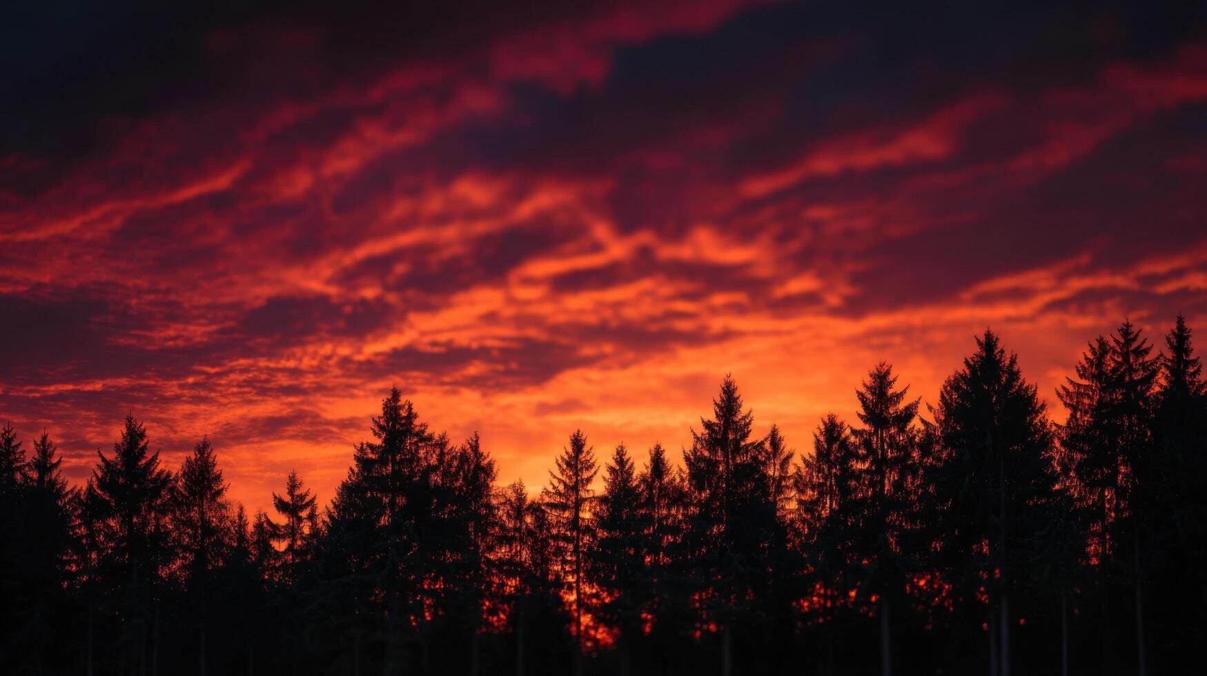 The Dramatic Colors of Sunset Over a Forest of Pines photo