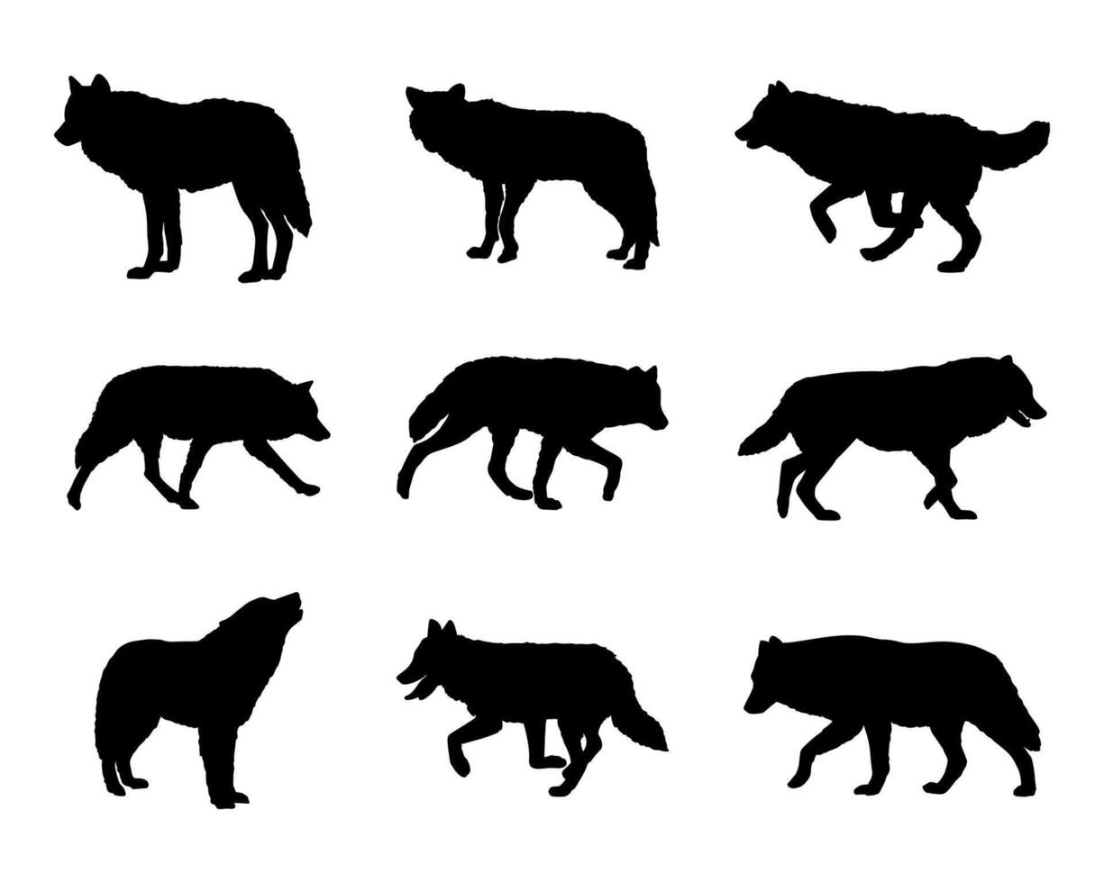 illustration silhouette of animal wolf collection set vector