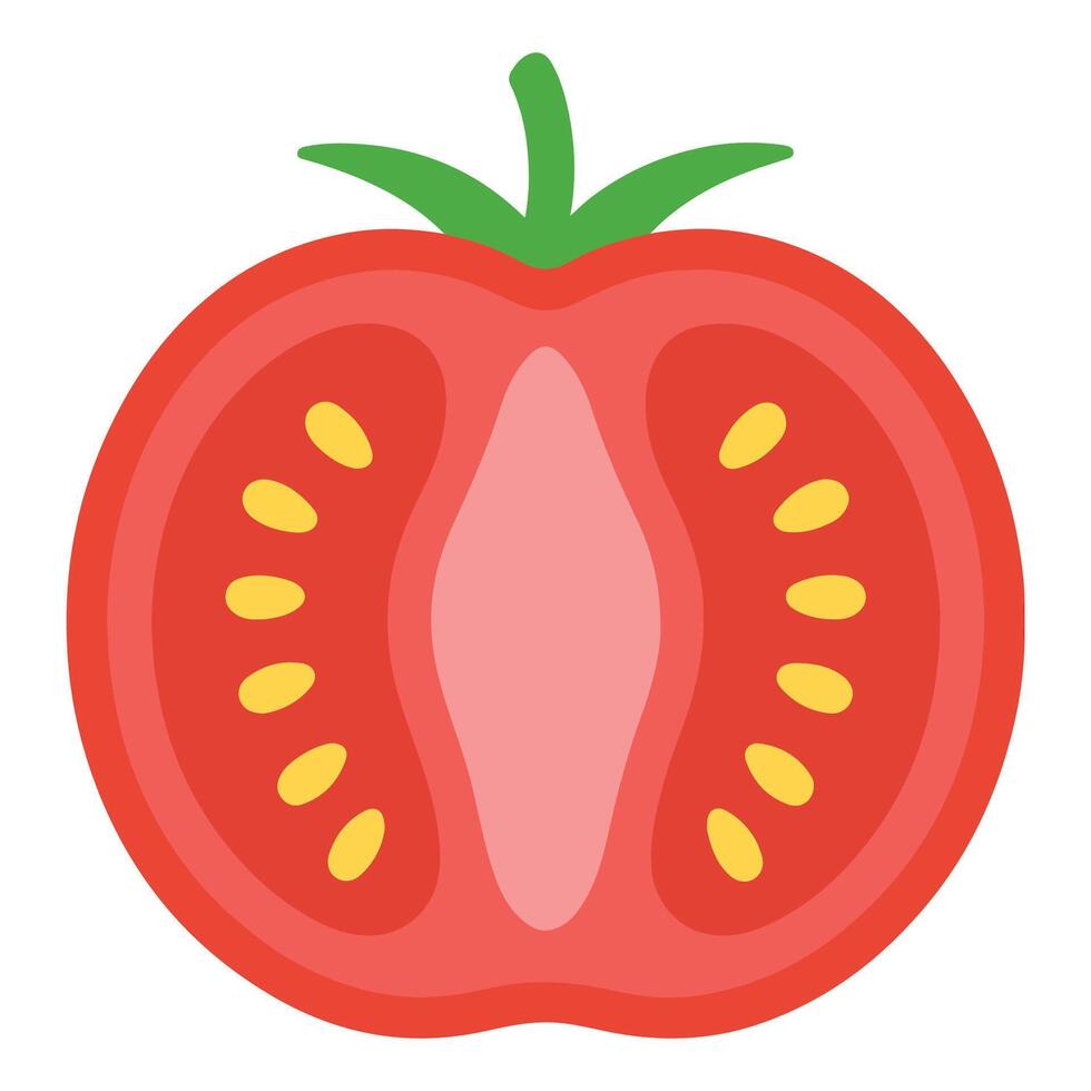 Tomato Slice food , Mexican Food clipart, Mexican Tomato Slice illustration, food isolated vector