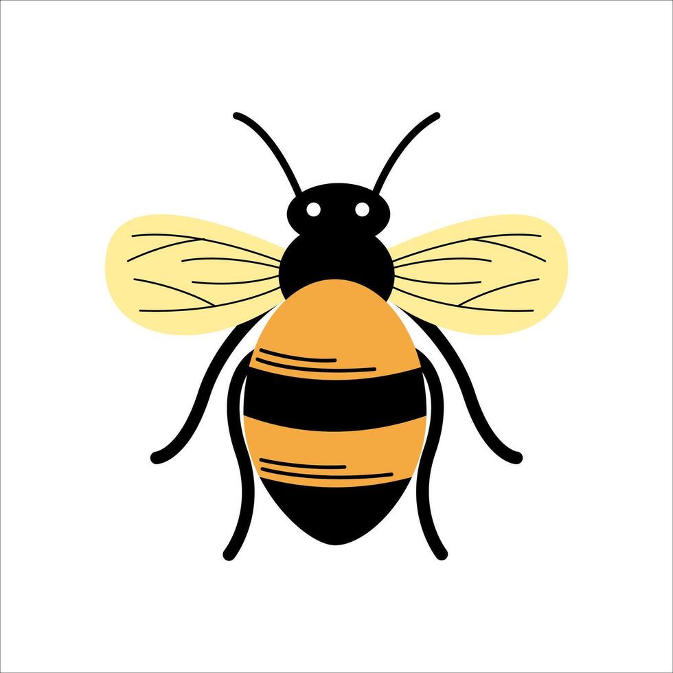 Spring Black and Yellow Bee vector