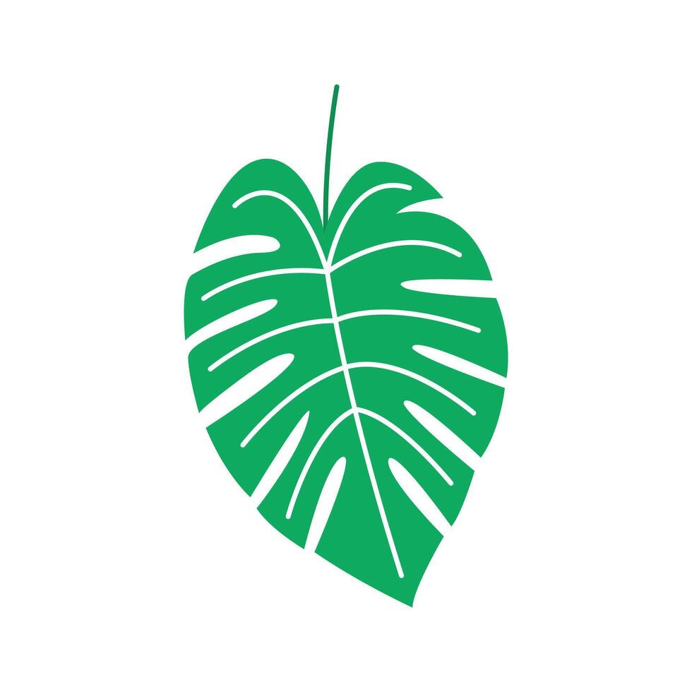 Summer Green Tropical Leaf vector