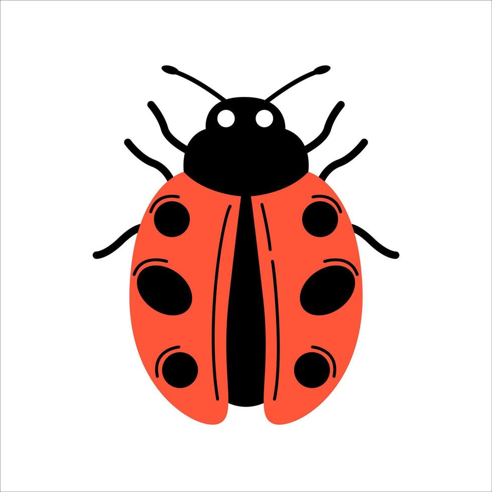 Spring Red Ladybug Insect vector