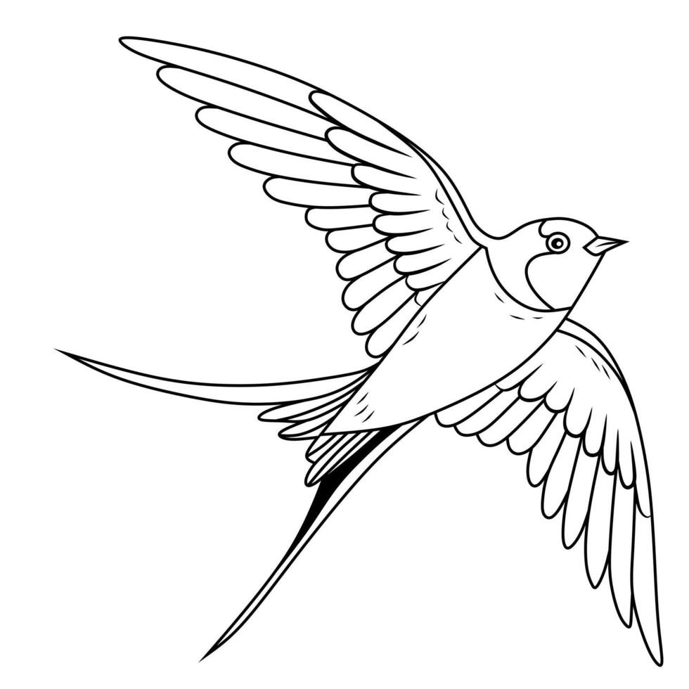 Swallow Bird Illusration - Hand-Drawn Line Art vector