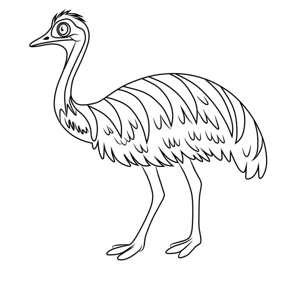 Line Art of Emu Bird Standing Still vector