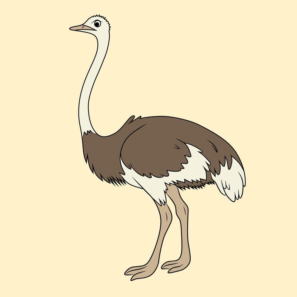 Cartoon Illustration of an Ostrich vector